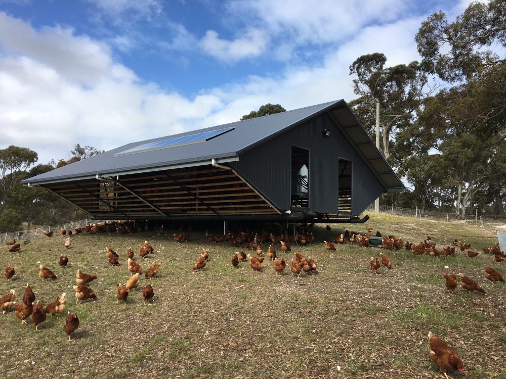 moving hen house
